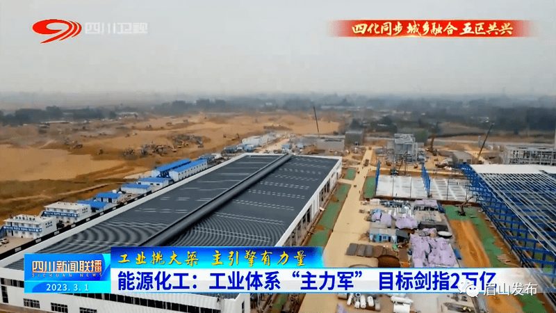 高分子材料代理政策：品牌选择与合规要点**